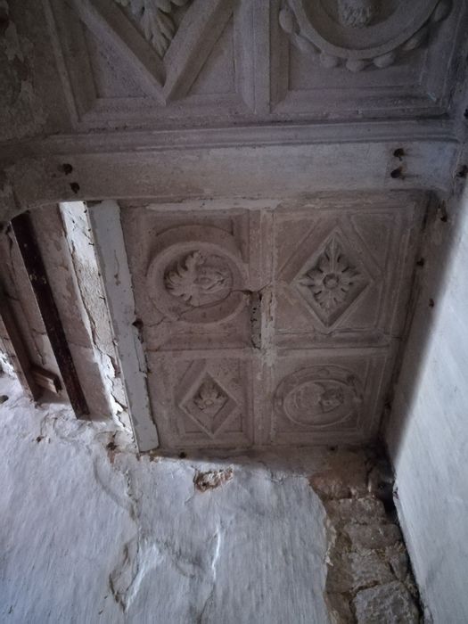 plafond de l’escalier, détail