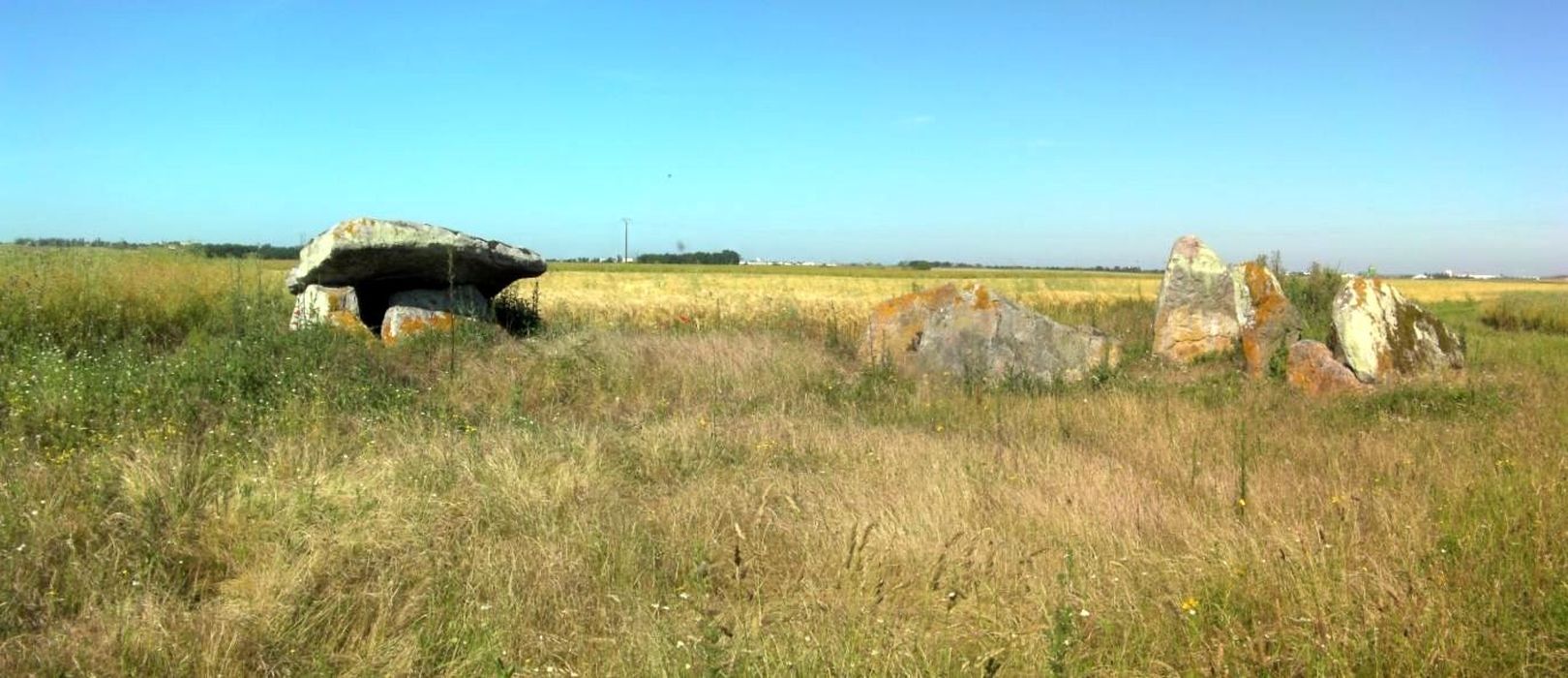 Vue générale des menhirs dans leur environnement