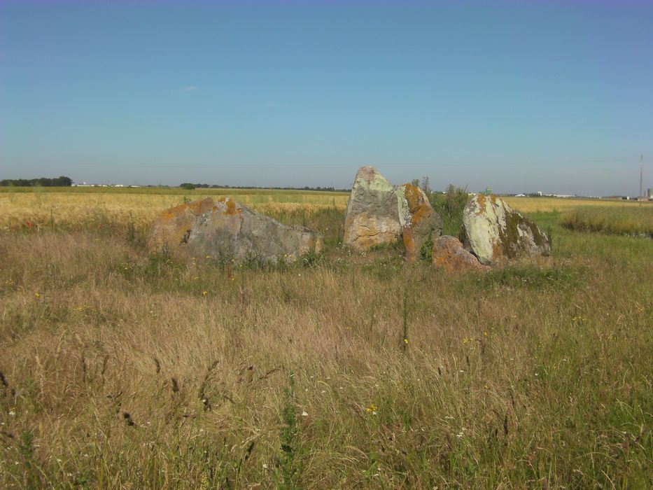 Vue générale d’un des menhirs