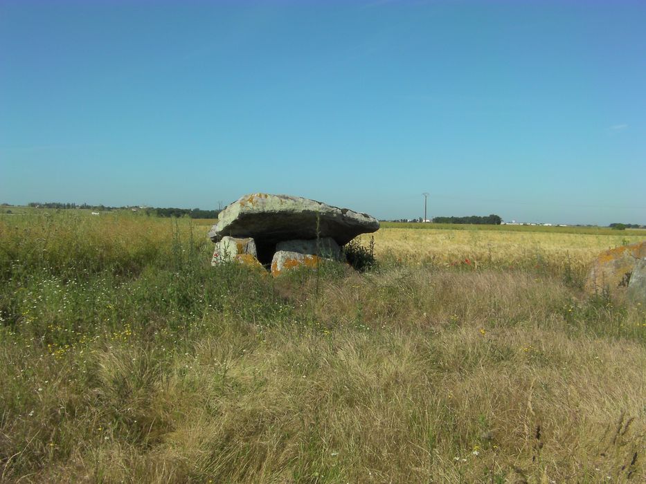 Vue générale d’un des menhirs