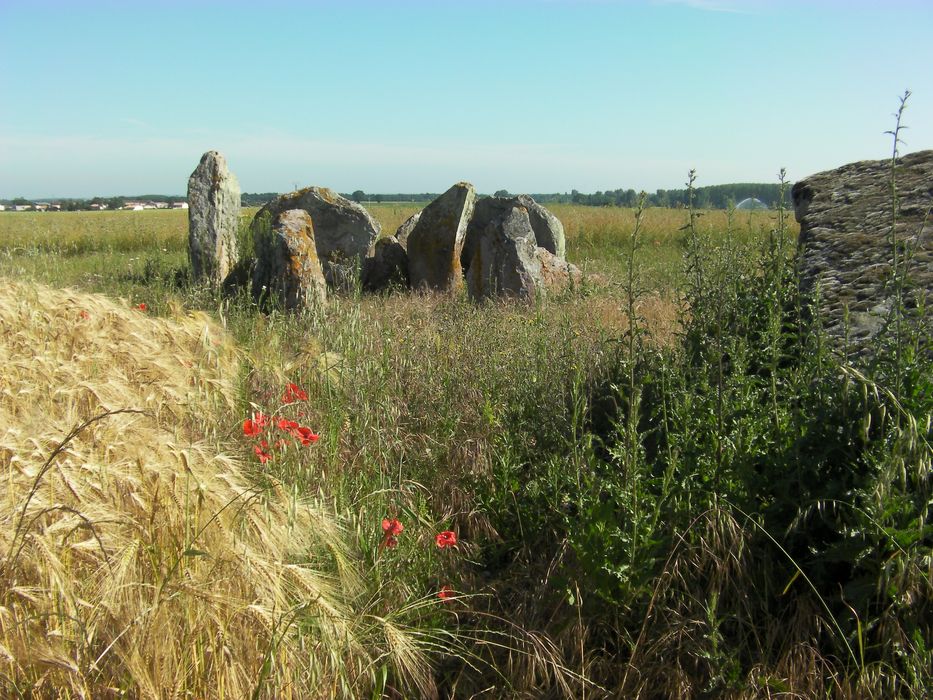 Vue générale d’un des menhirs