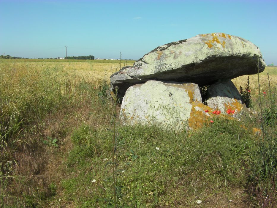 Vue générale d’un des menhirs