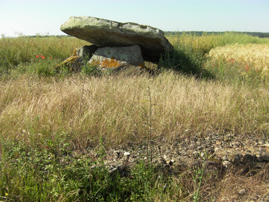 Vue générale d’un des menhirs