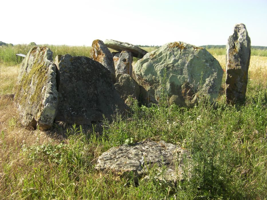 Vue générale d’un des menhirs