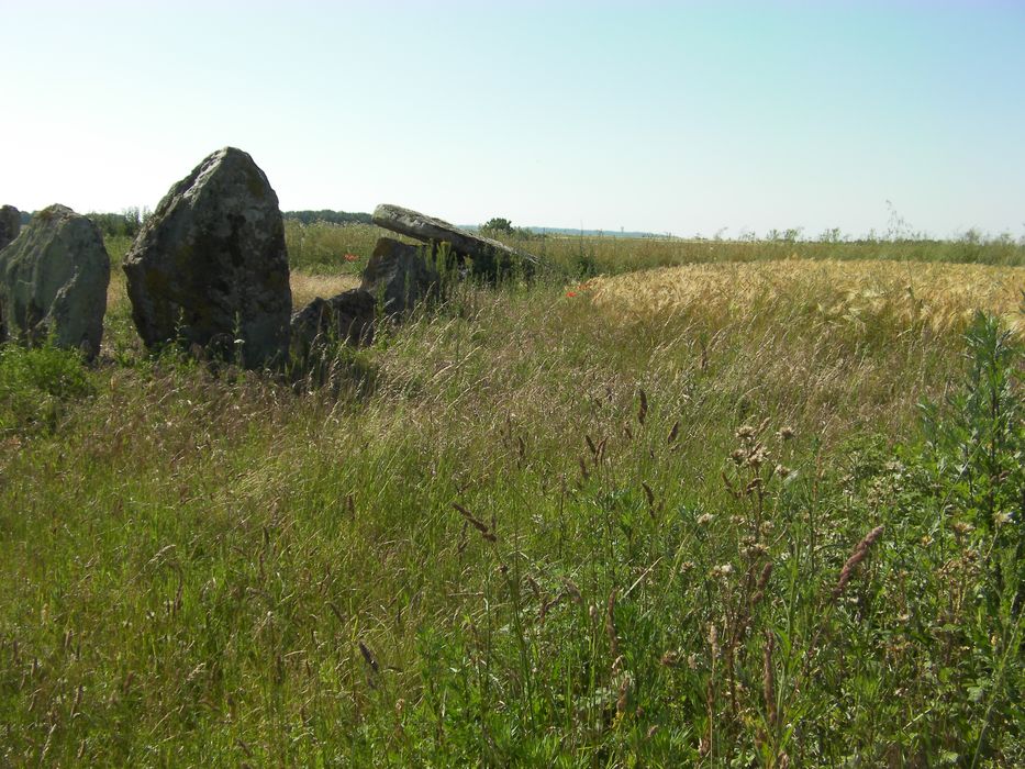 Vue partielle des menhirs