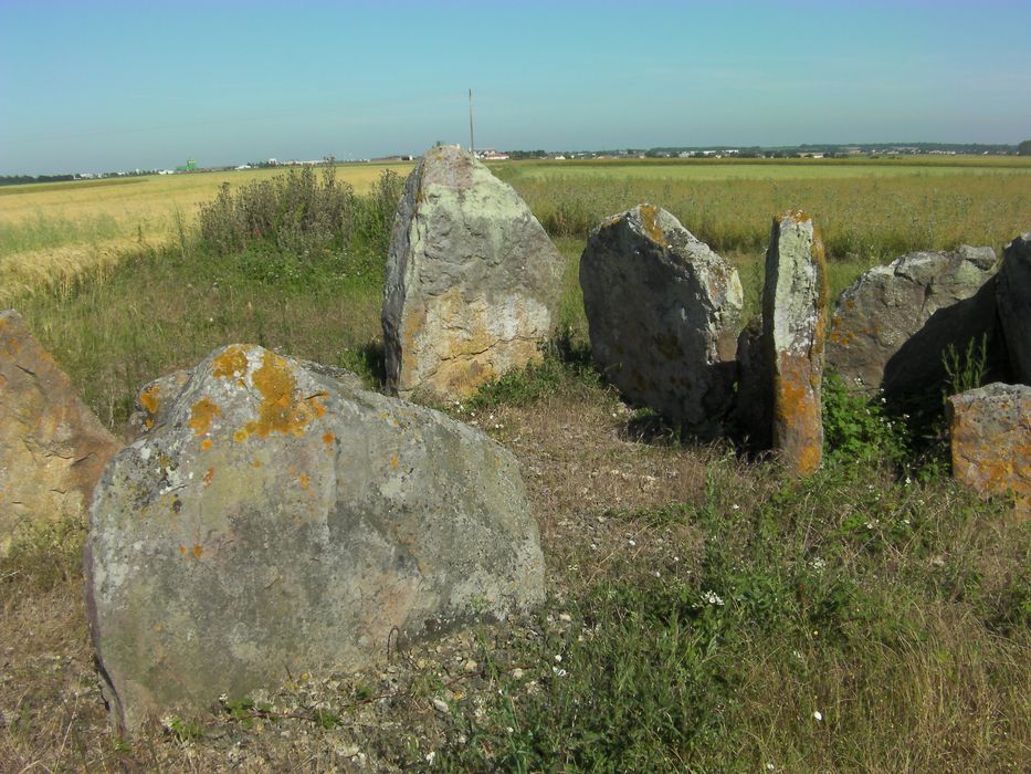 Vue partielle d’un des menhirs