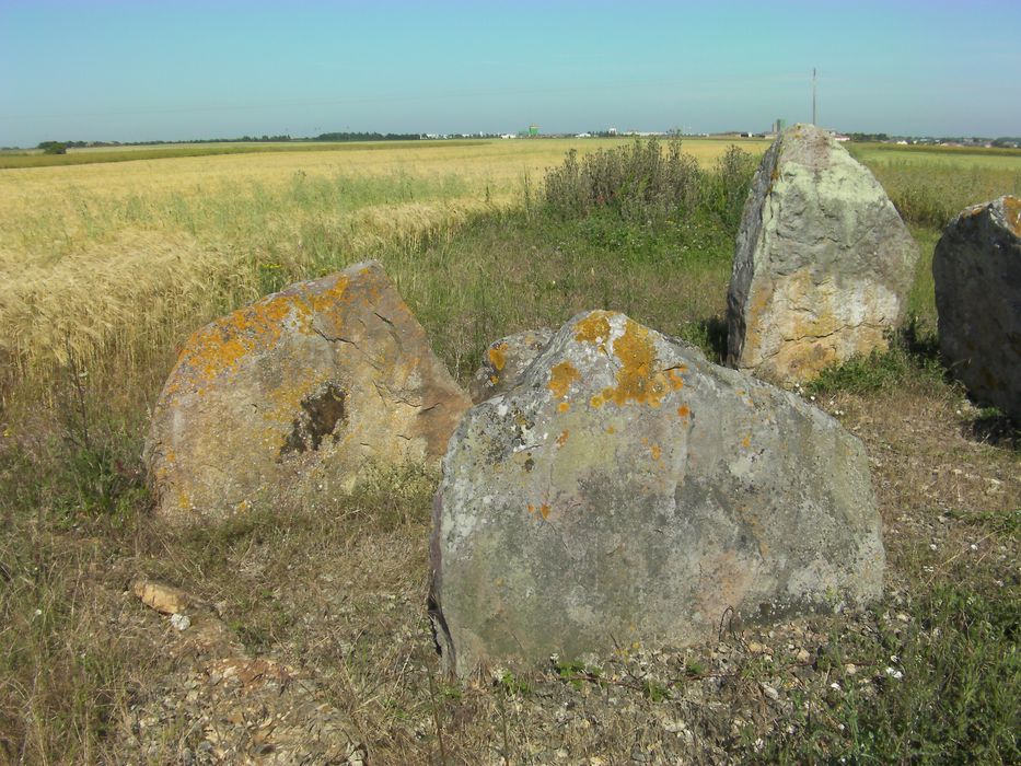 Vue partielle d’un des menhirs