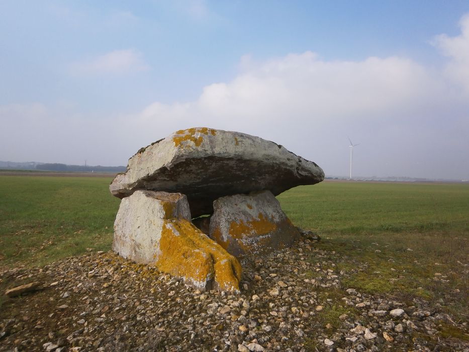 Vue partielle d’un des menhirs