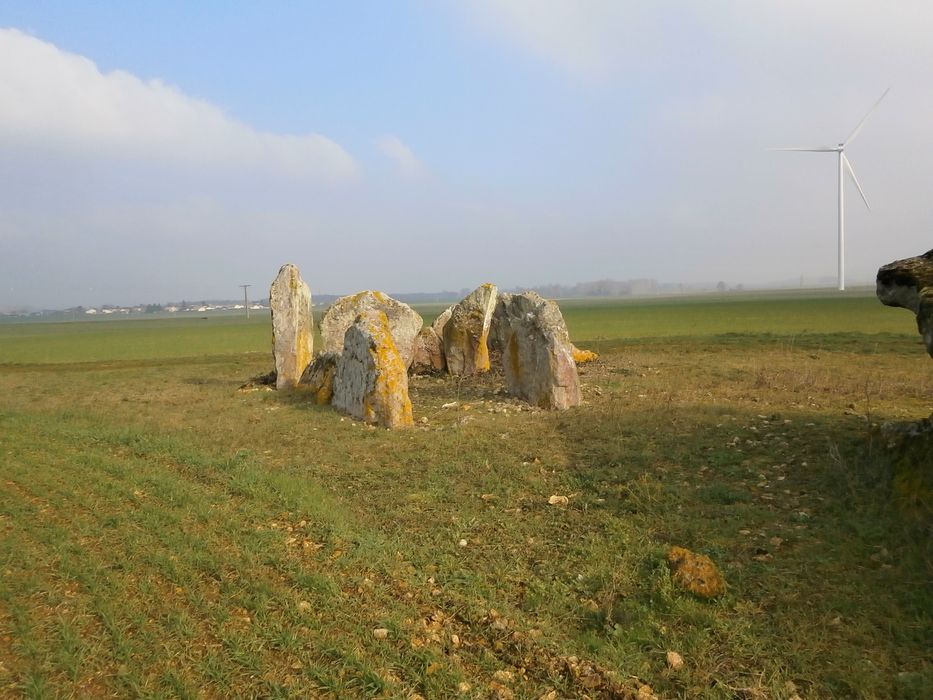 Vue partielle d’un des menhirs