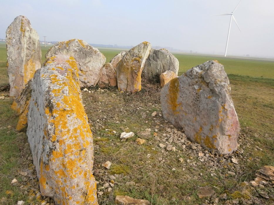 Vue partielle d’un des menhirs