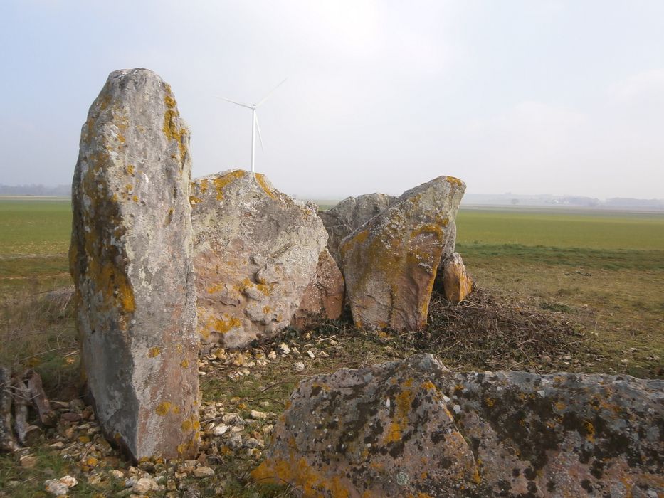 Vue partielle d’un des menhirs