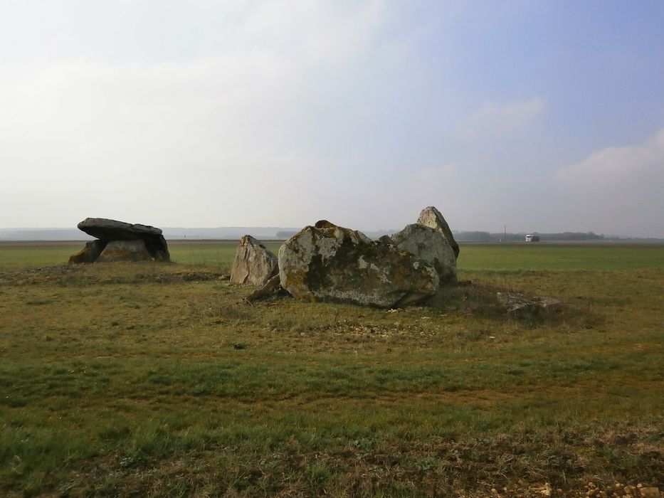 Vue générale des menhirs dans leur environnement