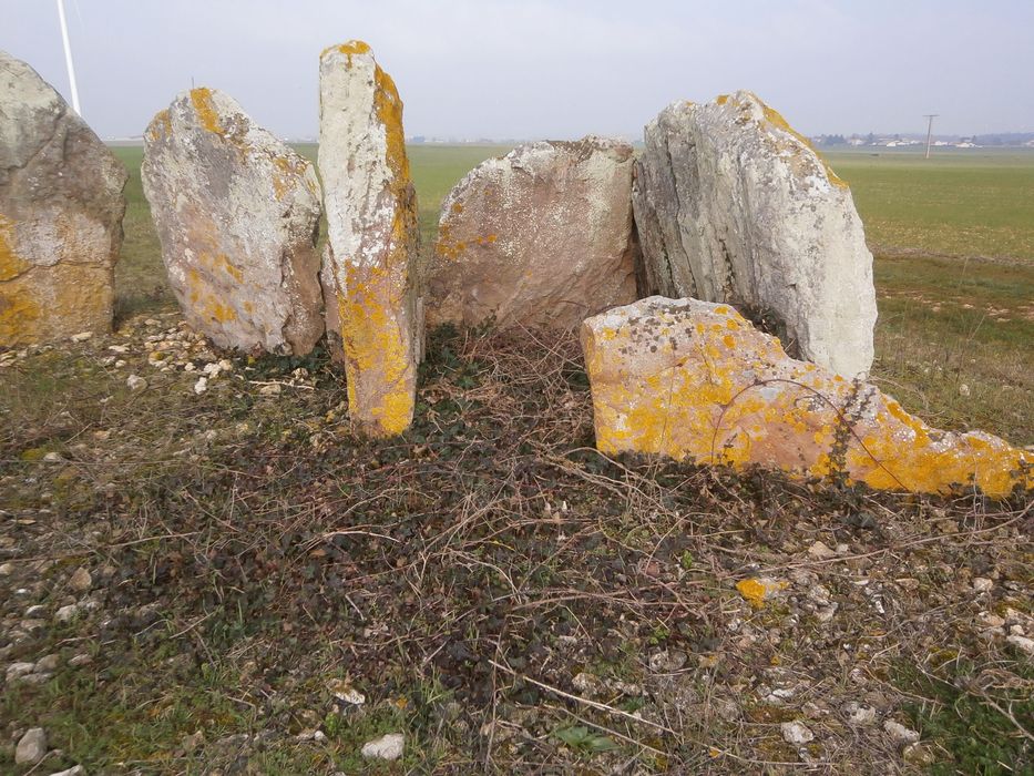 Vue partielle d’un des menhirs