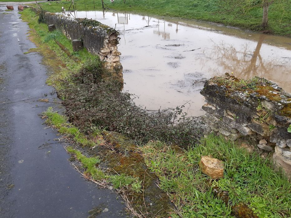 vue partielle du pont, état sanitaire