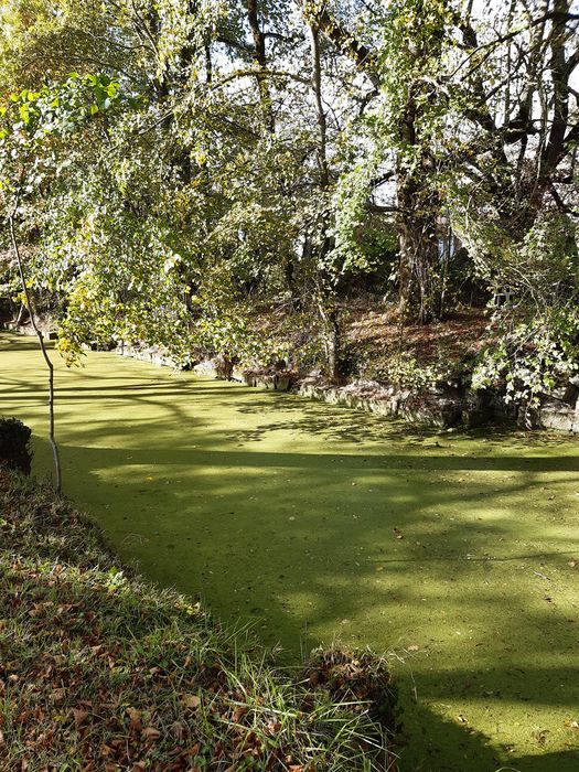 jardin, fossé inondé