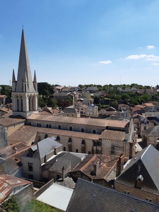 vue générale de l’église abbatiale dans son environnement depuis le Nord