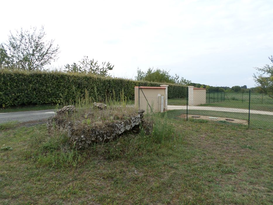 Vue générale du dolmen dans son environnement