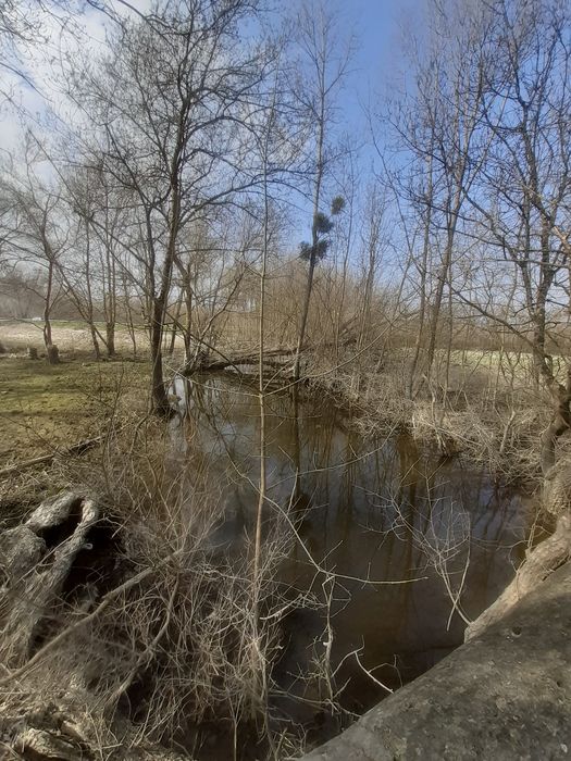 vue générale de l’environnement immédiat