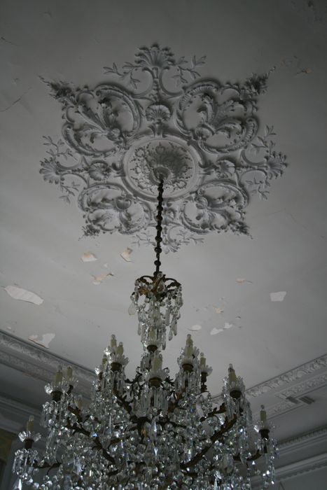 grand salon, détail de la rosace du plafond