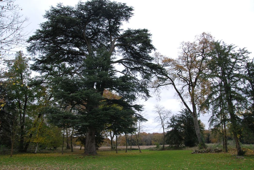 parc, vue partielle