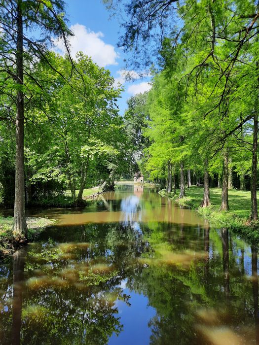 parc, pièce d’eau