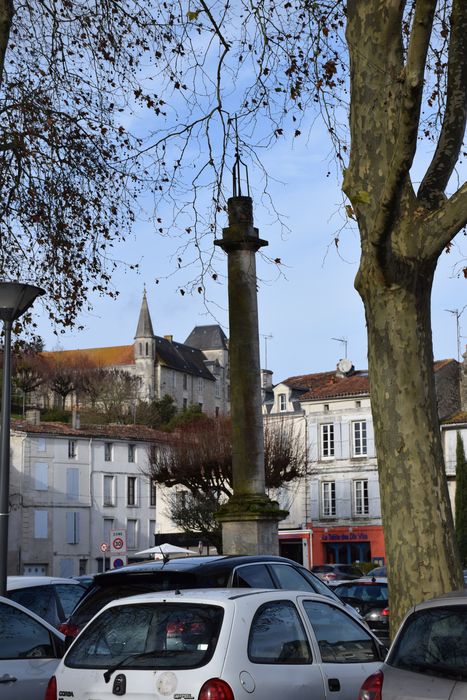 vue générale de la colonne dans son environnement