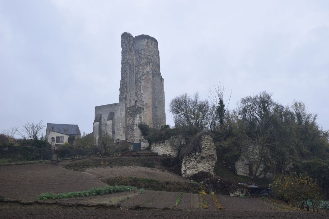 vue générale des vestiges dans leur environnement depuis le Nord-Ouest