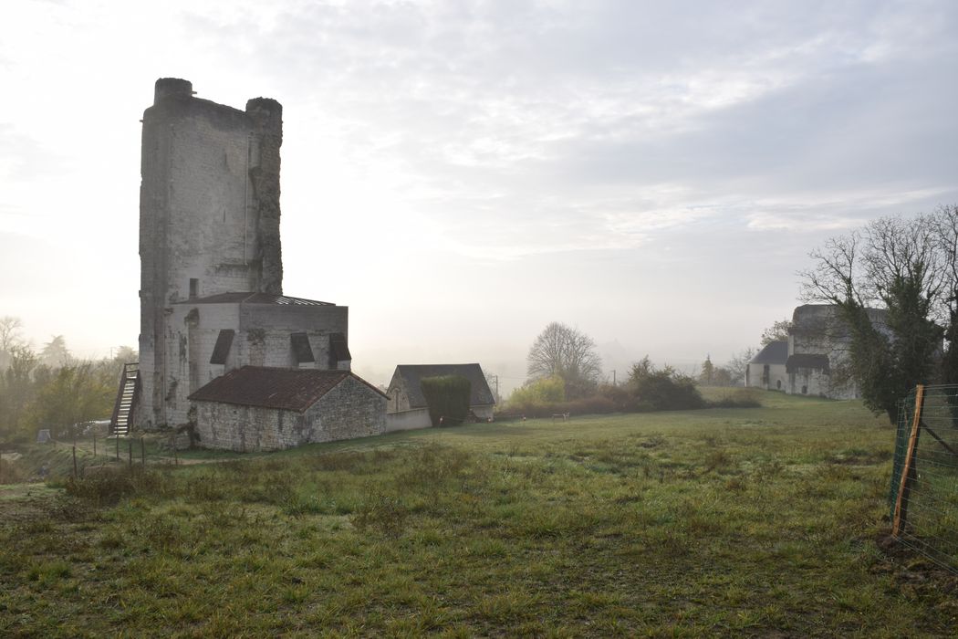 vue générale des vestiges dans leur environnement depuis l’Ouest