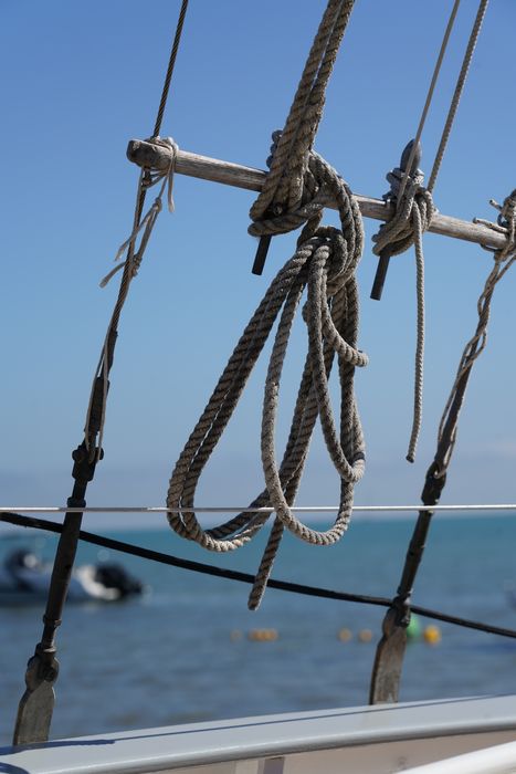 bateau de plaisance : canot, MN 6463, dit 'Petit salé'