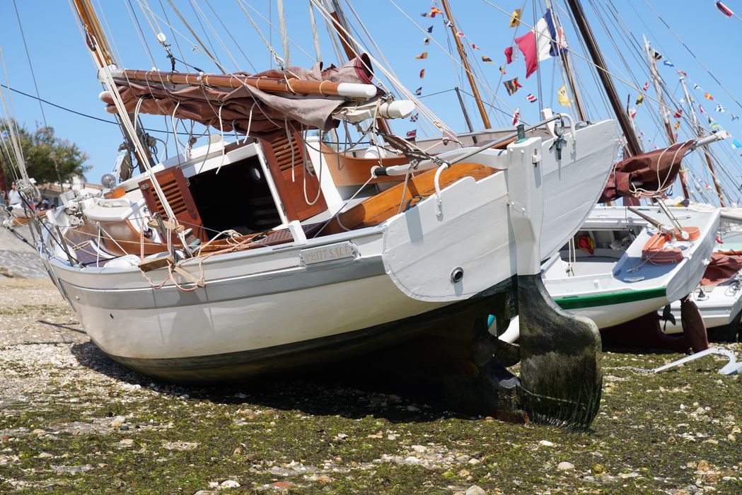 bateau de plaisance : canot, MN 6463, dit 'Petit salé'
