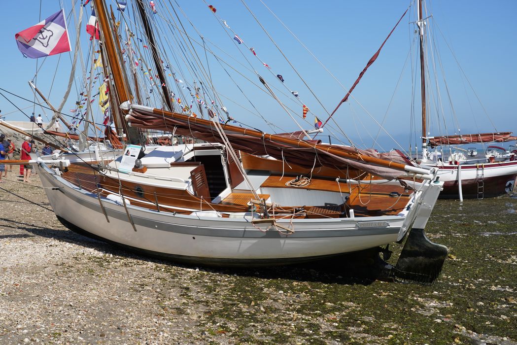 bateau de plaisance : canot, MN 6463, dit 'Petit salé'