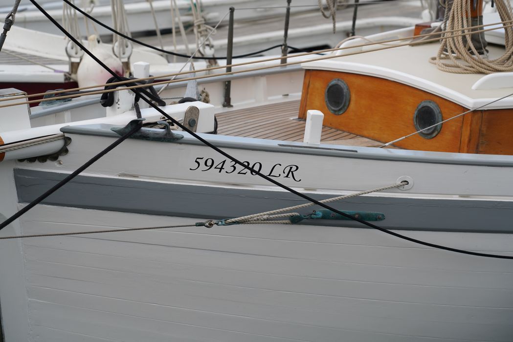 bateau de plaisance : canot, MN 6463, dit 'Petit salé'