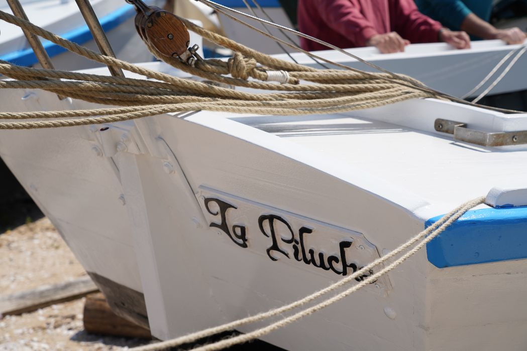 bateau : La Piluche (lasse à voile)