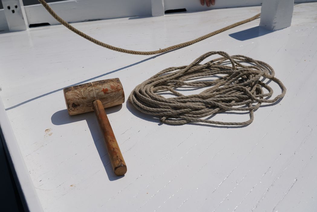 bateau : La Piluche (lasse à voile)
