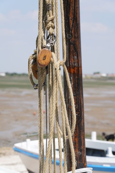 bateau : La Piluche (lasse à voile)