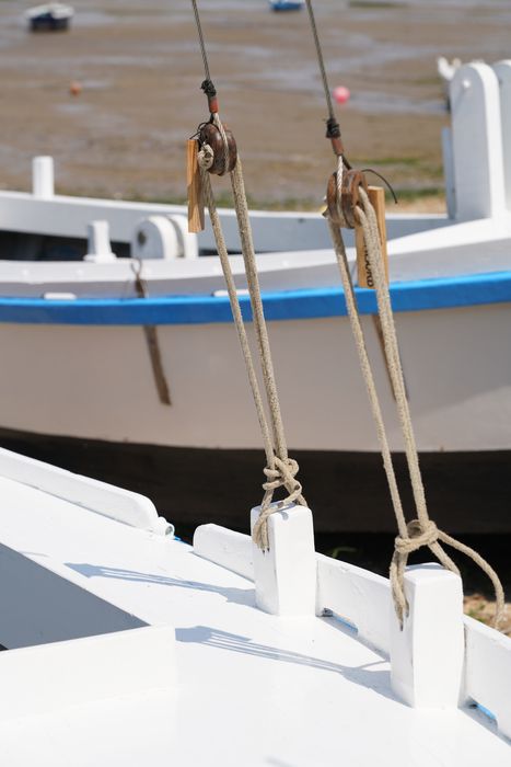 bateau : La Piluche (lasse à voile)