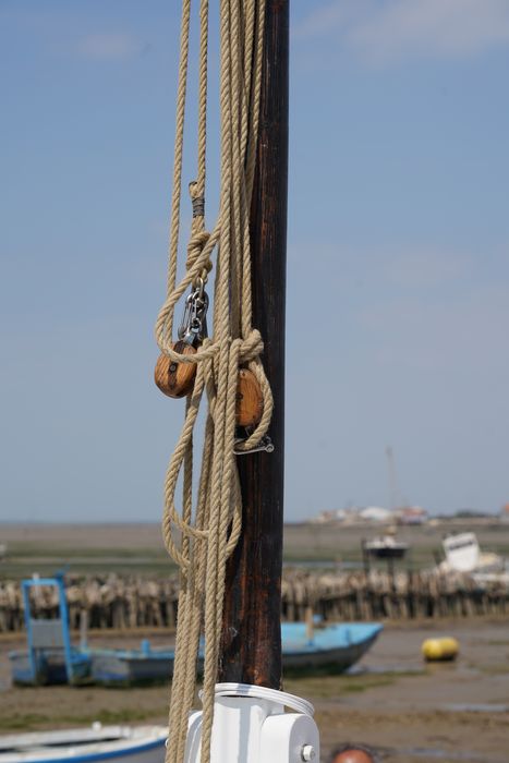 bateau : La Piluche (lasse à voile)