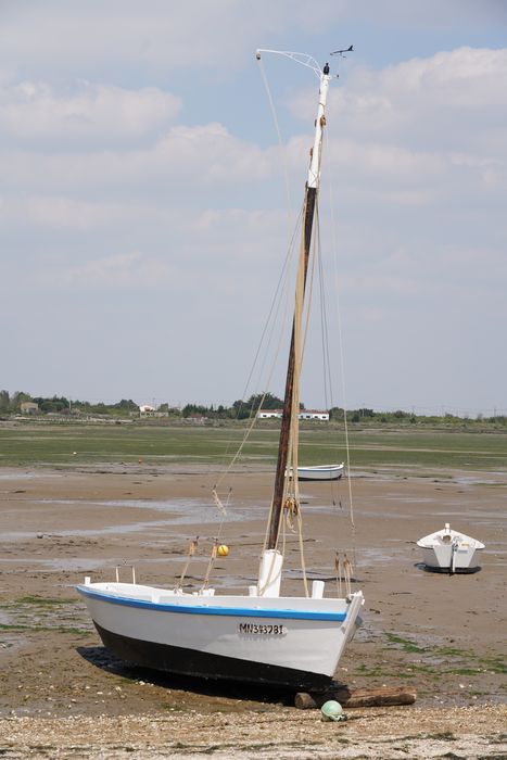 bateau : La Piluche (lasse à voile)