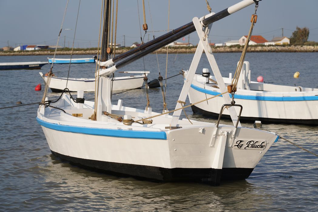 bateau : La Piluche (lasse à voile)