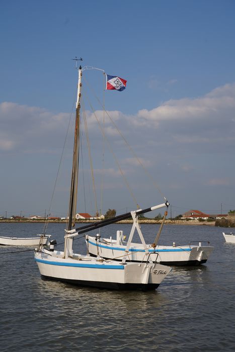 bateau : La Piluche (lasse à voile)