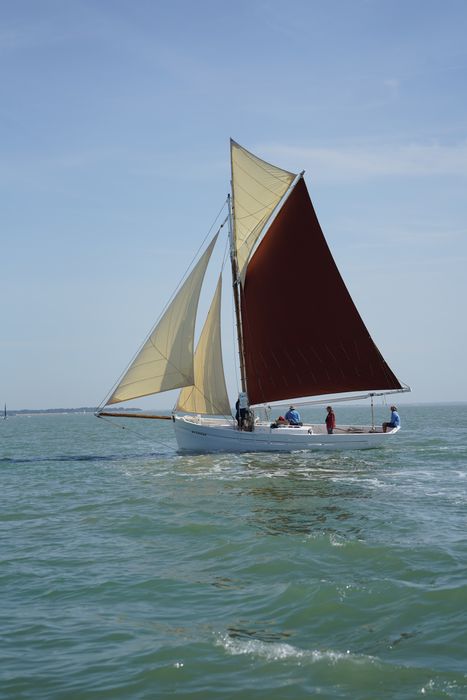 bateau La Flèche, bac ostréicole mixte gréé en sloop
