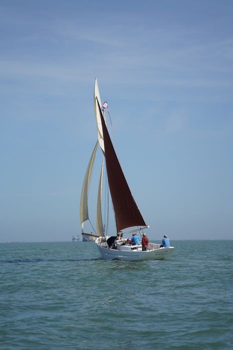 bateau La Flèche, bac ostréicole mixte gréé en sloop