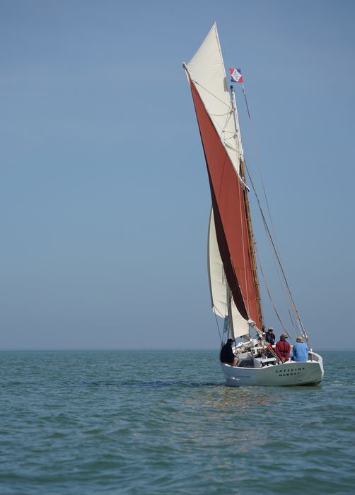 bateau La Flèche, bac ostréicole mixte gréé en sloop
