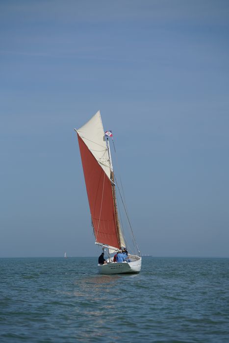 bateau La Flèche, bac ostréicole mixte gréé en sloop