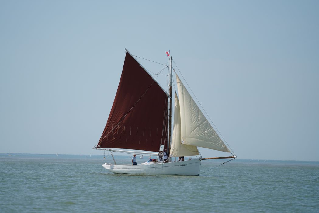 bateau La Flèche, bac ostréicole mixte gréé en sloop