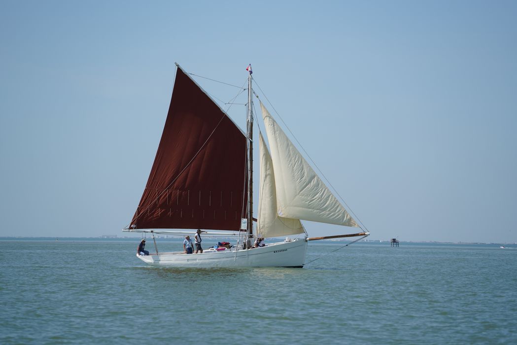 bateau La Flèche, bac ostréicole mixte gréé en sloop