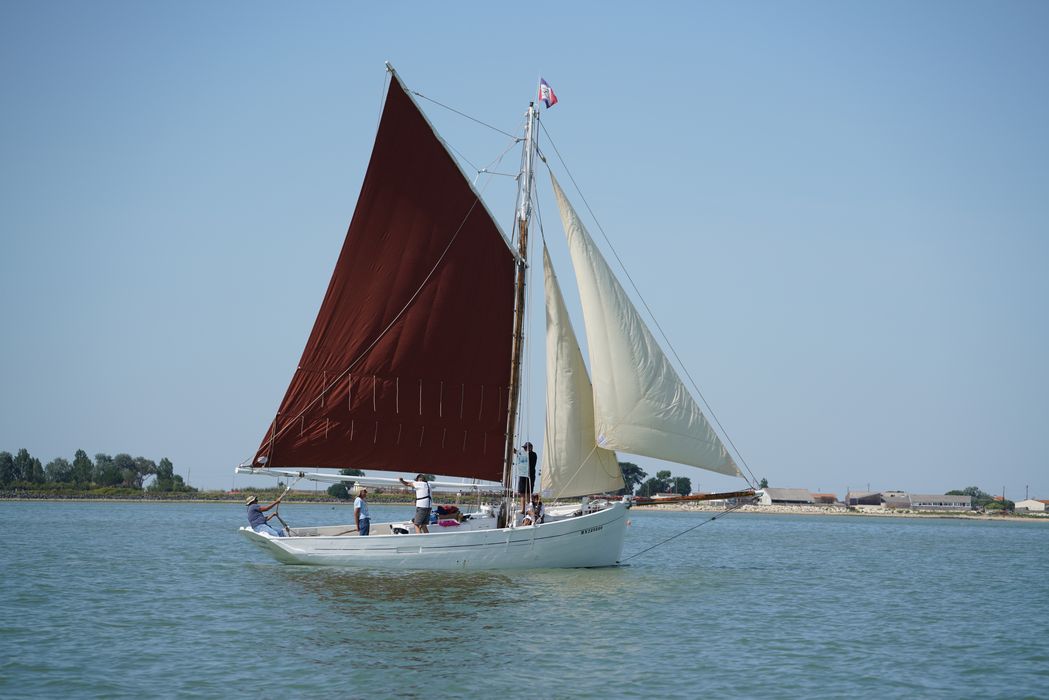 bateau La Flèche, bac ostréicole mixte gréé en sloop