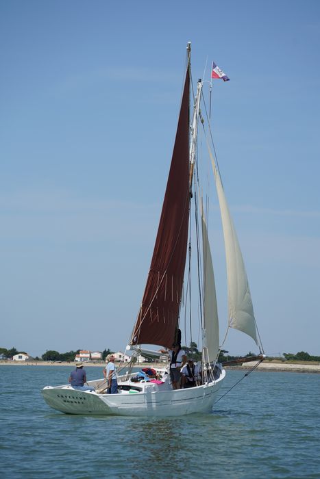 bateau La Flèche, bac ostréicole mixte gréé en sloop
