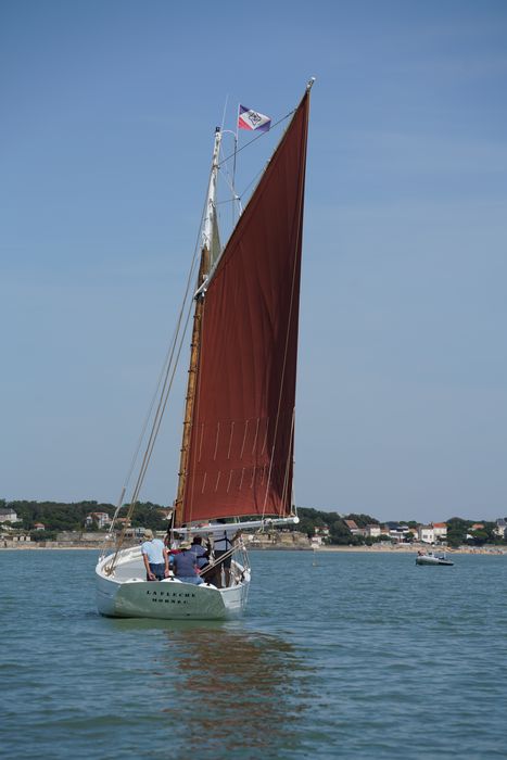bateau La Flèche, bac ostréicole mixte gréé en sloop