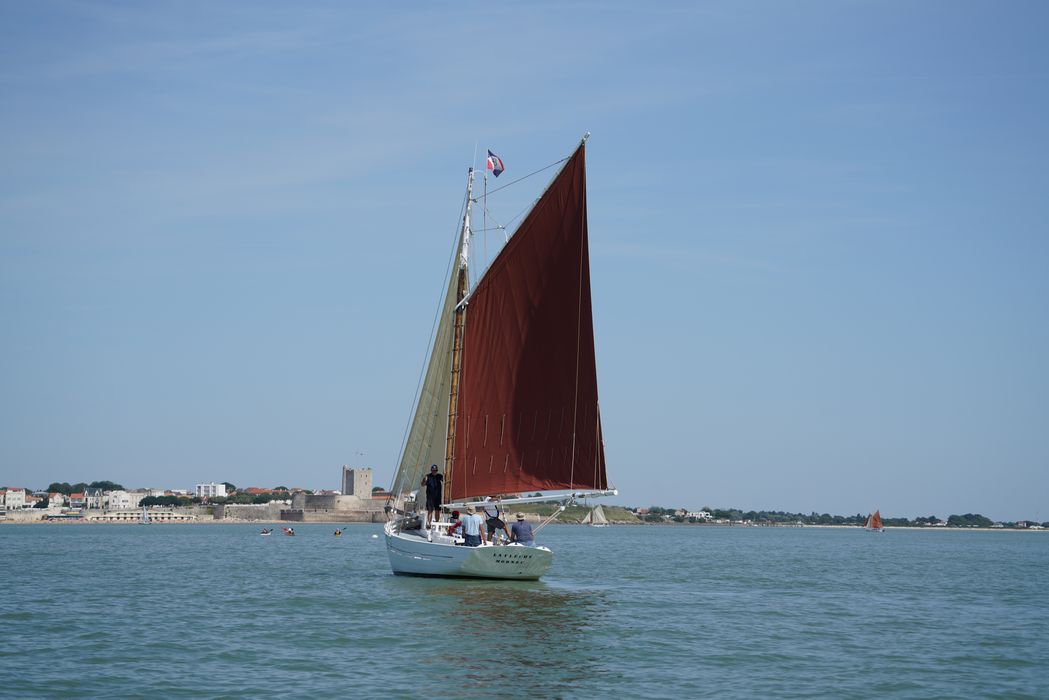 bateau La Flèche, bac ostréicole mixte gréé en sloop